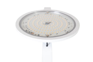 LogicTrade product 113212 image 44579