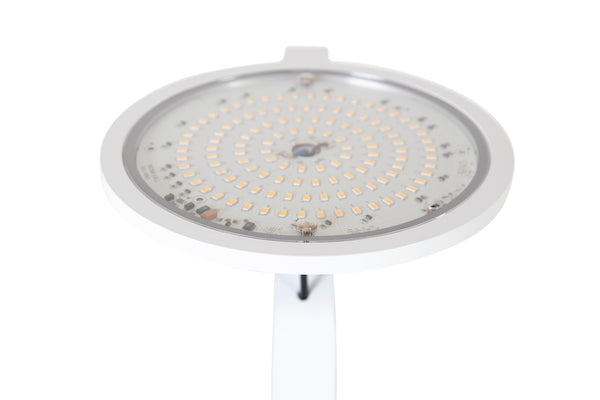 LogicTrade product 113212 image 44579