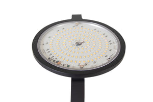 LogicTrade product 113213 image 44582
