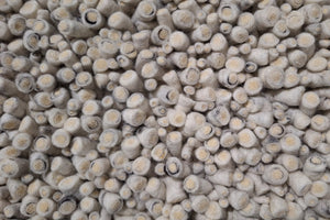 LogicTrade product 113746 image 45575