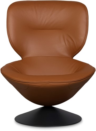 Artifort Moon fauteuil-2